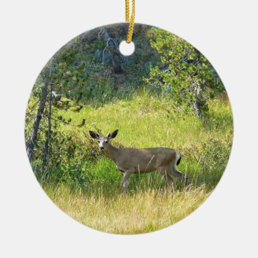 Young Buck in Yosemite, CA Keramik Ornament (Vorne)