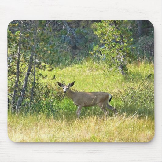 Young Buck in Yosemite, CA Mousepad (Vorne)