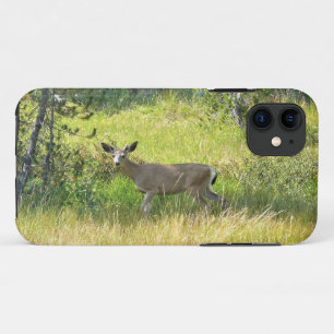 Young Buck in Yosemite, Kalifornien Case-Mate iPhone Hülle
