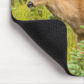 Young Buck Mousepad (Ecke)