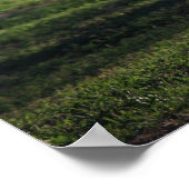 Young Buck Poster (Ecke)