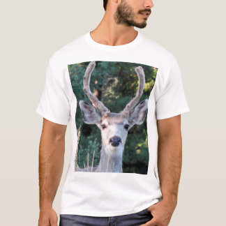 Young Buck Shirt