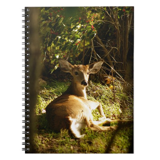 Young Buck Spiral Foto Notebook Notizblock (Vorderseite)