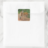 Young Buck Whitetail Deer Quadratischer Aufkleber (Tasche)
