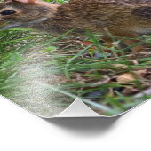 Young Bunny Fotodruck (Ecke)