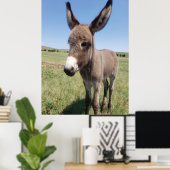 Young Burro, Custer Staat Park, South Dakota Poster (Heimbüro)