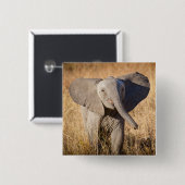 Young Bush Elephant Button (Vorne & Hinten)