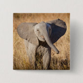 Young Bush Elephant Button (Vorderseite)