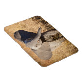 Young Bush Elephant Magnet (Rechte Seite)