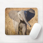 Young Bush Elephant Mousepad (Mit Mouse)