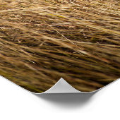 Young Bush Elephant Poster (Ecke)