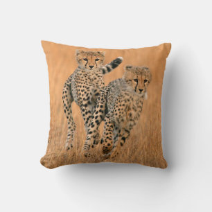 Young Cheetahs (Acinonyx Jubatus) Running Kissen
