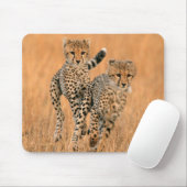 Young Cheetahs (Acinonyx Jubatus) Running Mousepad (Mit Mouse)