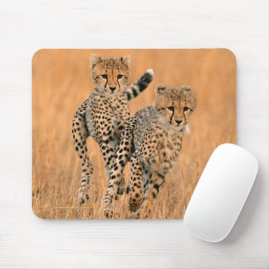 Young Cheetahs (Acinonyx Jubatus) Running Mousepad (Mit Mouse)