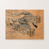 Young Cheetahs (Acinonyx Jubatus) Running Puzzle (Horizontal)