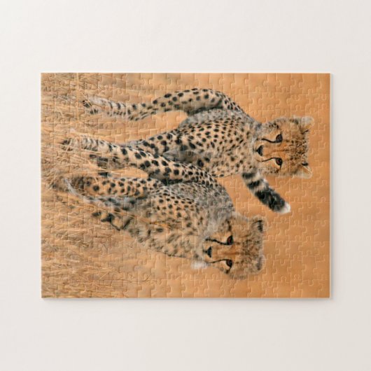 Young Cheetahs (Acinonyx Jubatus) Running Puzzle (Horizontal)