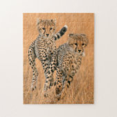Young Cheetahs (Acinonyx Jubatus) Running Puzzle (Vertikal)