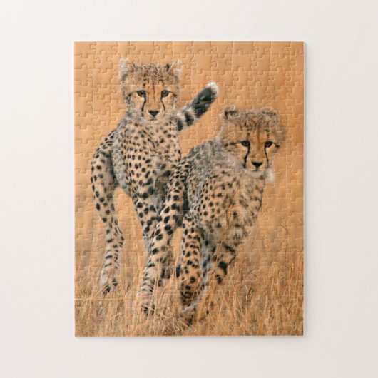 Young Cheetahs (Acinonyx Jubatus) Running Puzzle (Vertikal)