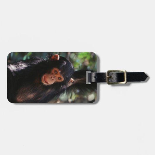 Young Chimpanzee Gepäckanhänger (Vorderseite horizontal)