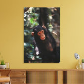 Young Chimpanzee Leinwanddruck (Insitu (Wohnzimmer))