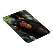 Young Chimpanzee Magnet (Rechte Seite)