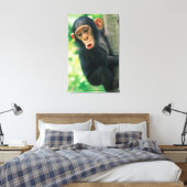 Young Chimpanzee (Pan troglodytes) Leinwanddruck (Insitu (Schlafzimmer))