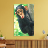Young Chimpanzee (Pan troglodytes) Leinwanddruck (Insitu (Wohnzimmer))