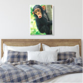 Young Chimpanzee (Pan troglodytes) Leinwanddruck (Insitu (Schlafzimmer))