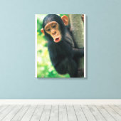 Young Chimpanzee (Pan troglodytes) Leinwanddruck (Insitu (Holzboden))