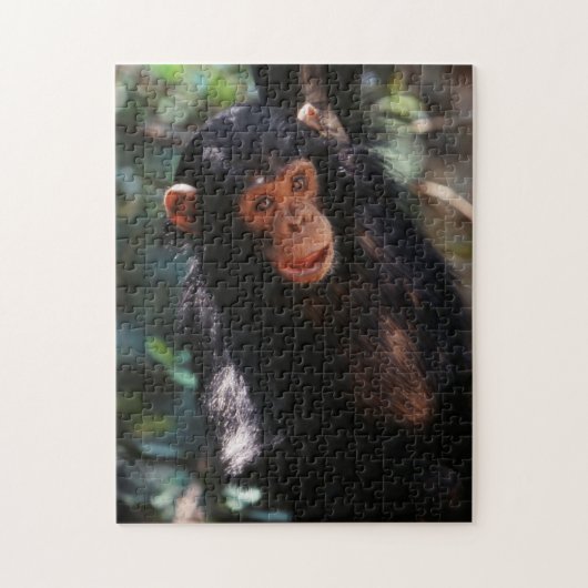Young Chimpanzee Puzzle (Vertikal)