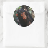 Young Chimpanzee Runder Aufkleber (Tasche)