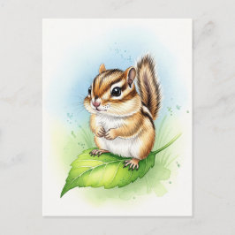 Young Chipmunk Baby Wild Animals Postcard Postkarte