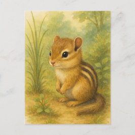 Young Chipmunk Baby Wild Animals Postcard Postkarte
