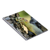 Young cicada auf der Postkarte der Zweigstellen Notizblock (Rechte Seite)