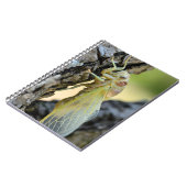 Young cicada auf der Postkarte der Zweigstellen Notizblock (Linke Seite)