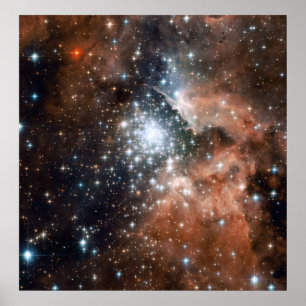 Young Cluster NGC3603 Poster