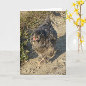 Young Cochin Chicken Karte (Gelbe Blume)