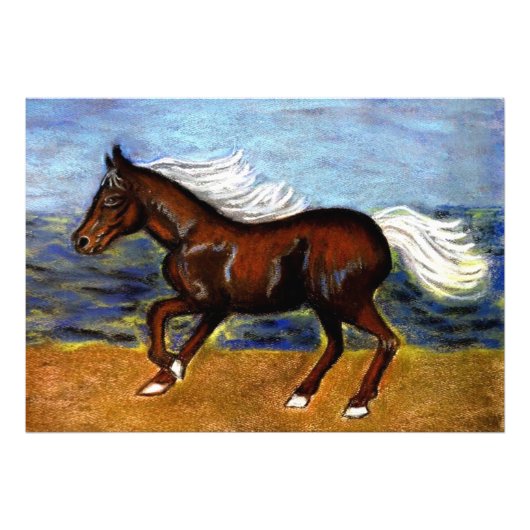 Young Colt Fotodruck (Vorne)