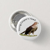 Young Cooper's Hawk Button (Vorne & Hinten)