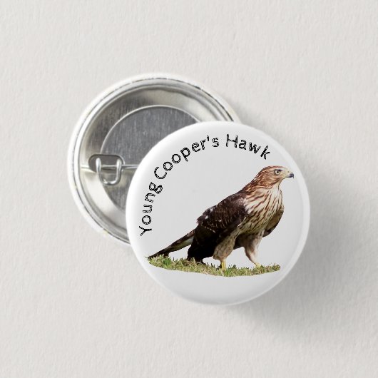 Young Cooper's Hawk Button (Vorne & Hinten)