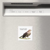 Young Cooper's Hawk Magnet (In Situ (Geschirrspüler))