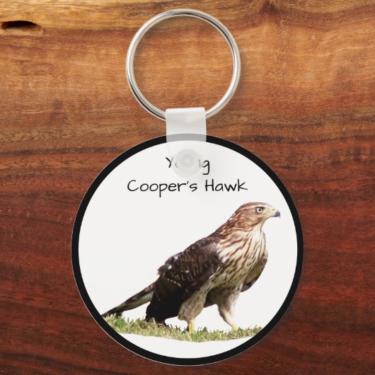 Young Cooper's Hawk Schlüsselanhänger (Vorderseite)