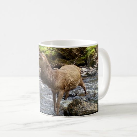 Young Deer in River Tasse (VorderseiteRechts)