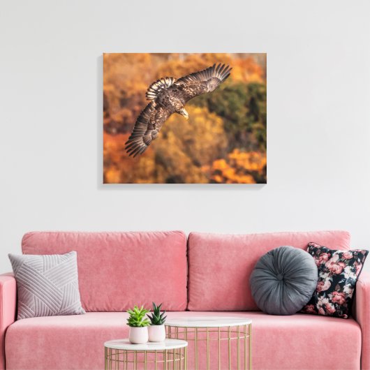 Young Eagle Wings Autumn Canvas Print Leinwanddruck (Insitu (Wohnzimmer))