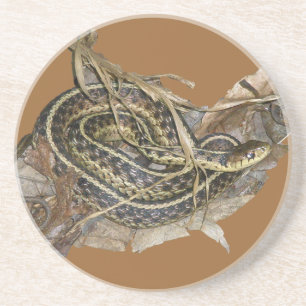 Young Eastern Garter Snake Sandstein Untersetzer