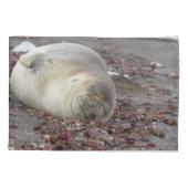 Young elephant seal kissenbezug (Rückseite)