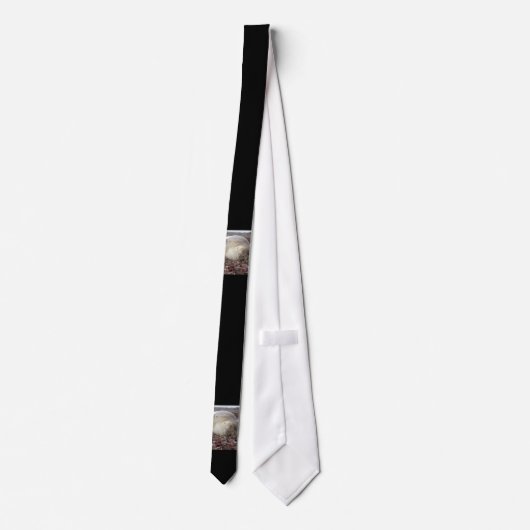 Young elephant seal krawatte (Rückseite)