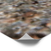 Young Emperor Poster (Ecke)