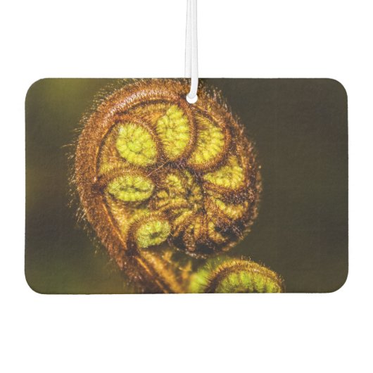 Young Fern Blätter Autolufterfrischer (Vorderseite)