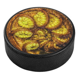 Young Fern Blätter Eishockey Puck